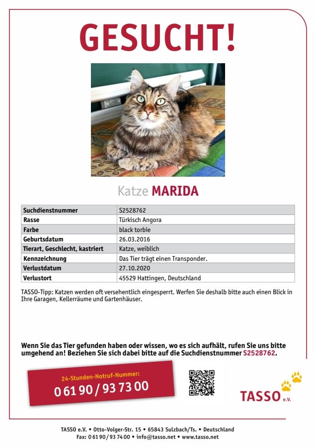 2020 11 03 Merida 01