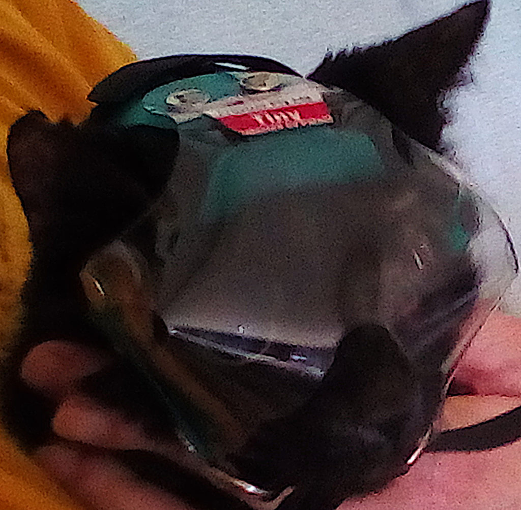 Zora Optvizor 1024x1004