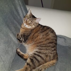 171555420 3862725373822437 2334229462816937051 N 300x300