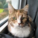 Home TanteElli1 150x150