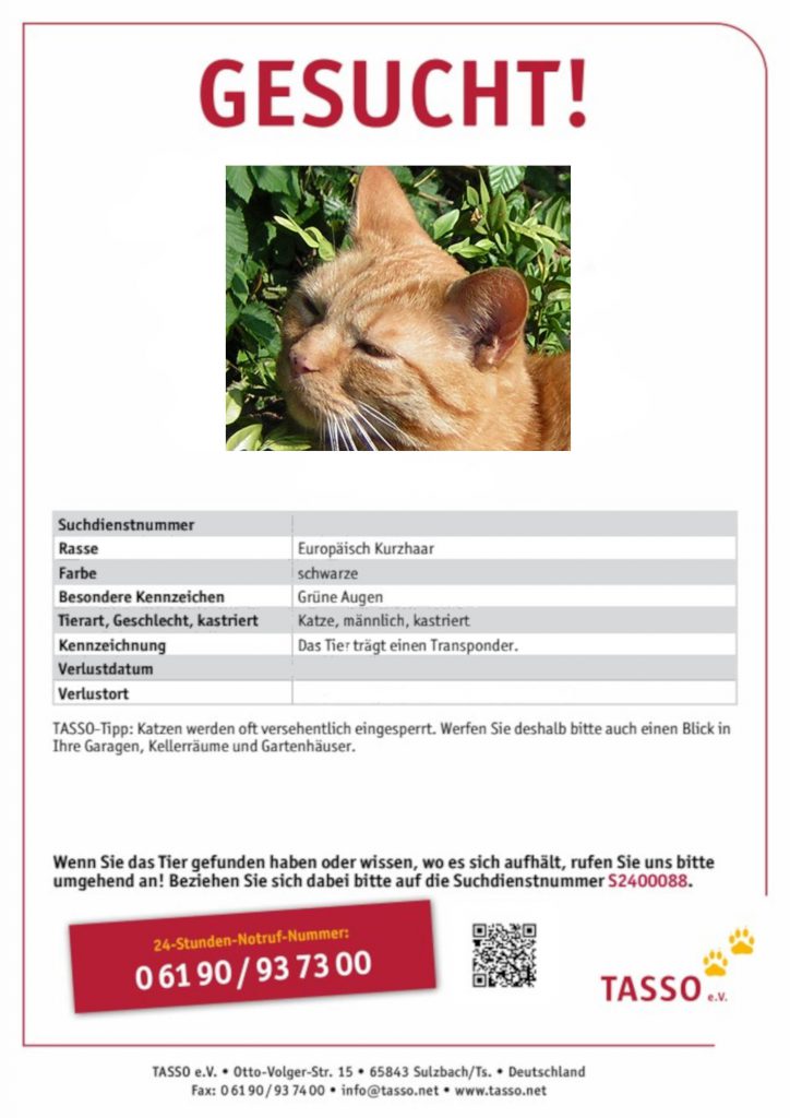 Tasso Suchplakat 724x1024