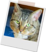 Kater Barny vermittelt 27.03.2016