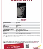 Rocky Svg+xml,%3Csvg%20xmlns%3D%22http%3A%2F%2Fwww.w3