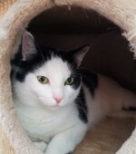 Motti Svg+xml,%3Csvg%20xmlns%3D%22http%3A%2F%2Fwww.w3