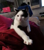 Motti Svg+xml,%3Csvg%20xmlns%3D%22http%3A%2F%2Fwww.w3