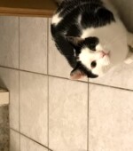 Motti Svg+xml,%3Csvg%20xmlns%3D%22http%3A%2F%2Fwww.w3