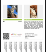 Leo Svg+xml,%3Csvg%20xmlns%3D%22http%3A%2F%2Fwww.w3