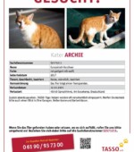 Kater Archie Svg+xml,%3Csvg%20xmlns%3D%22http%3A%2F%2Fwww.w3