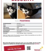 Phantomas Svg+xml,%3Csvg%20xmlns%3D%22http%3A%2F%2Fwww.w3