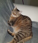 10.04.2021 HAT Svg+xml,%3Csvg%20xmlns%3D%22http%3A%2F%2Fwww.w3