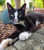 Chester Svg+xml,%3Csvg%20xmlns%3D%22http%3A%2F%2Fwww.w3