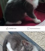 Babe Svg+xml,%3Csvg%20xmlns%3D%22http%3A%2F%2Fwww.w3