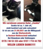 Cookie Svg+xml,%3Csvg%20xmlns%3D%22http%3A%2F%2Fwww.w3