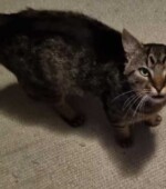 Momo Svg+xml,%3Csvg%20xmlns%3D%22http%3A%2F%2Fwww.w3