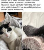 Otto Svg+xml,%3Csvg%20xmlns%3D%22http%3A%2F%2Fwww.w3