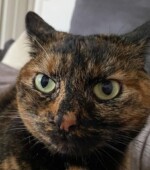 Sushi Svg+xml,%3Csvg%20xmlns%3D%22http%3A%2F%2Fwww.w3