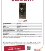 Luna Svg+xml,%3Csvg%20xmlns%3D%22http%3A%2F%2Fwww.w3