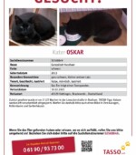 Oskar Svg+xml,%3Csvg%20xmlns%3D%22http%3A%2F%2Fwww.w3