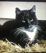 Paul Svg+xml,%3Csvg%20xmlns%3D%22http%3A%2F%2Fwww.w3