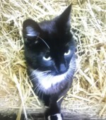 Paul Svg+xml,%3Csvg%20xmlns%3D%22http%3A%2F%2Fwww.w3