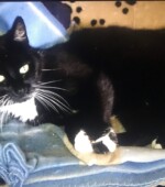 Paul Svg+xml,%3Csvg%20xmlns%3D%22http%3A%2F%2Fwww.w3