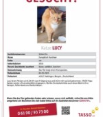 Lucy Svg+xml,%3Csvg%20xmlns%3D%22http%3A%2F%2Fwww.w3