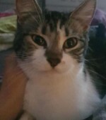 Meilly Svg+xml,%3Csvg%20xmlns%3D%22http%3A%2F%2Fwww.w3