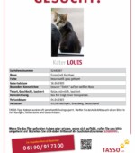 Louis Svg+xml,%3Csvg%20xmlns%3D%22http%3A%2F%2Fwww.w3