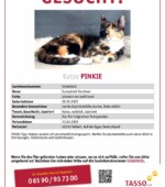 Pinkie Svg+xml,%3Csvg%20xmlns%3D%22http%3A%2F%2Fwww.w3