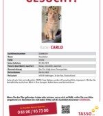 Carlo Svg+xml,%3Csvg%20xmlns%3D%22http%3A%2F%2Fwww.w3