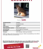 entlaufene Katzen Svg+xml,%3Csvg%20xmlns%3D%22http%3A%2F%2Fwww.w3