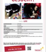 entlaufene Katzen Svg+xml,%3Csvg%20xmlns%3D%22http%3A%2F%2Fwww.w3