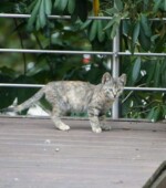 45525 HATDroste-Hülshoff-Str. Svg+xml,%3Csvg%20xmlns%3D%22http%3A%2F%2Fwww.w3