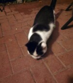 17-11-22 HAT Svg+xml,%3Csvg%20xmlns%3D%22http%3A%2F%2Fwww.w3