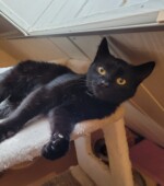 Samira Svg+xml,%3Csvg%20xmlns%3D%22http%3A%2F%2Fwww.w3