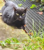 45529 HAT Svg+xml,%3Csvg%20xmlns%3D%22http%3A%2F%2Fwww.w3