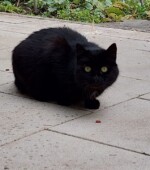 20-09-22 Svg+xml,%3Csvg%20xmlns%3D%22http%3A%2F%2Fwww.w3