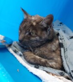 20-9-22 Svg+xml,%3Csvg%20xmlns%3D%22http%3A%2F%2Fwww.w3