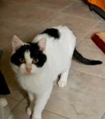 9-12-22-HAT Svg+xml,%3Csvg%20xmlns%3D%22http%3A%2F%2Fwww.w3