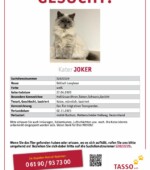 entlaufene Katzen Svg+xml,%3Csvg%20xmlns%3D%22http%3A%2F%2Fwww.w3