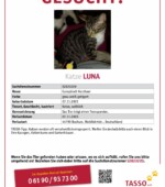 entlaufene Katzen Svg+xml,%3Csvg%20xmlns%3D%22http%3A%2F%2Fwww.w3