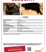 entlaufene Katzen Svg+xml,%3Csvg%20xmlns%3D%22http%3A%2F%2Fwww.w3