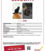 entlaufene Katzen Svg+xml,%3Csvg%20xmlns%3D%22http%3A%2F%2Fwww.w3