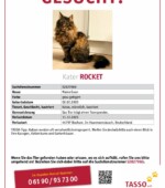 entlaufene Katzen Svg+xml,%3Csvg%20xmlns%3D%22http%3A%2F%2Fwww.w3