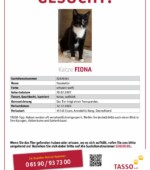 entlaufene Katzen Svg+xml,%3Csvg%20xmlns%3D%22http%3A%2F%2Fwww.w3