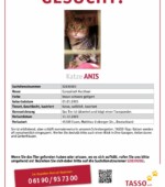 entlaufene Katzen Svg+xml,%3Csvg%20xmlns%3D%22http%3A%2F%2Fwww.w3