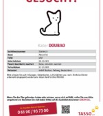 entlaufene Katzen Svg+xml,%3Csvg%20xmlns%3D%22http%3A%2F%2Fwww.w3