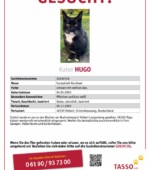 entlaufene Katzen Svg+xml,%3Csvg%20xmlns%3D%22http%3A%2F%2Fwww.w3