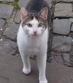 HAT Elfringhauser Str./Gemüsescheune Svg+xml,%3Csvg%20xmlns%3D%22http%3A%2F%2Fwww.w3