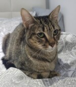 30-10-23 Svg+xml,%3Csvg%20xmlns%3D%22http%3A%2F%2Fwww.w3